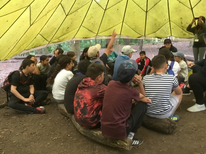 09F31585-9B23-4B55-A187-2E5B20FBA385