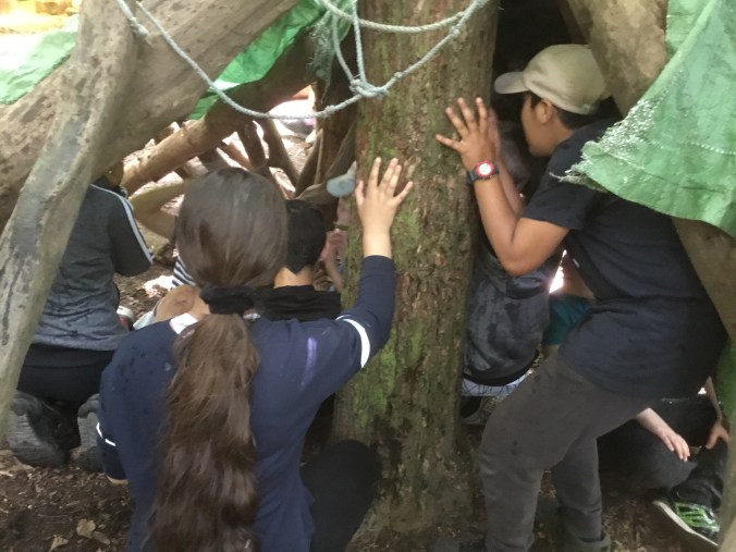 31D9FFE0-D33F-4D1E-A7B8-3C0EF32CBB64