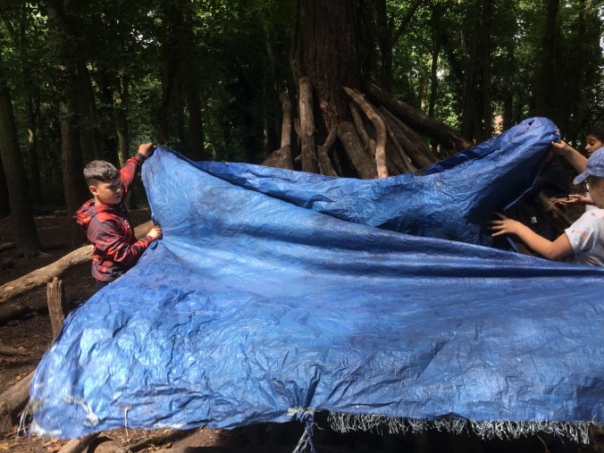 60269AAA-5EB4-4068-BE5A-247385FD55F2