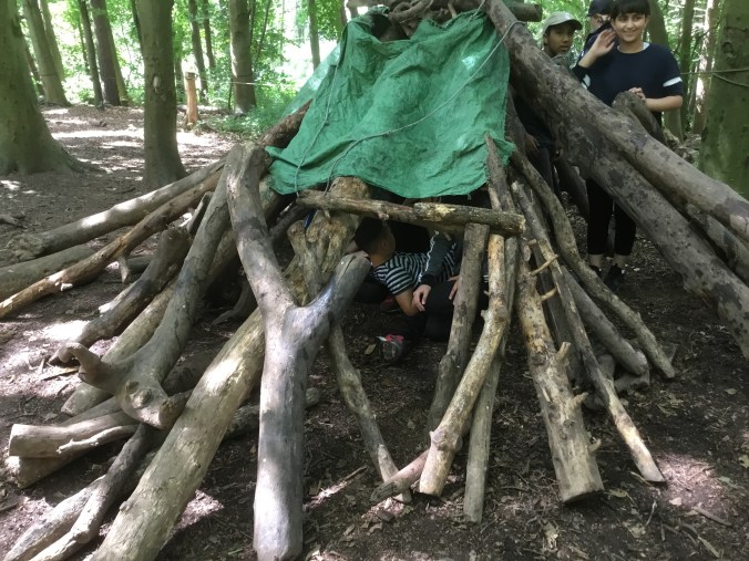 C8B6E629-CBFE-4262-A178-00955FEB7AFB